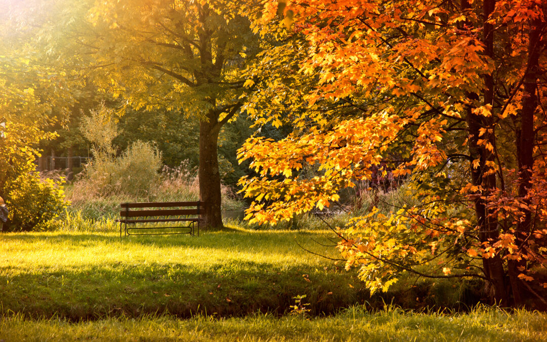What’s Awesome this Autumn?